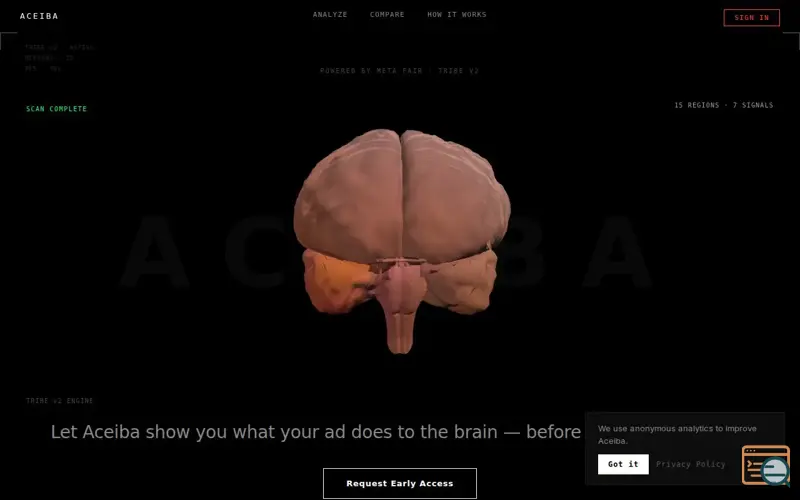 Screenshot of Aceiba