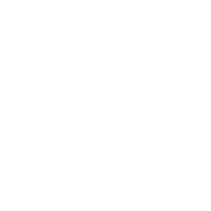 Arctyne logo
