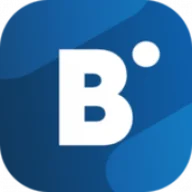 BidVertiser logo