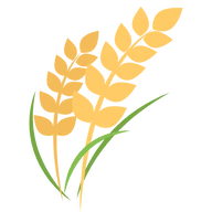 MF8.BIZ logo