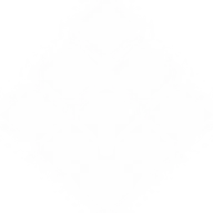 ParkLogic logo