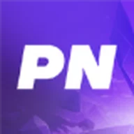 PayNow (Game Servers) logo