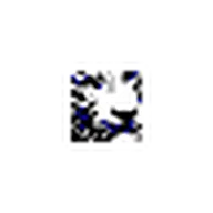 RainTiger logo