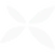 The Ticket Fairy logo
