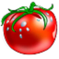 Webparadicsom logo