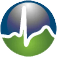 WebSitePulse logo
