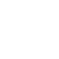 Wokwi logo